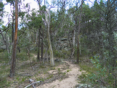 Waterfal Circuit - Link Track - Goonoowigall NSW Australia