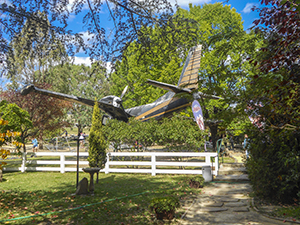 Green Valley Farm - Tingha NSW