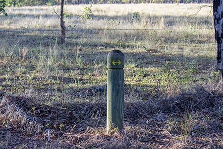 Track markers - Lake Inverell Bushwalking