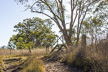 Lake Inverell Bushwalking track