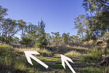 Lake Inverell - Bushwalking tracks