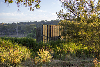 Observation Hide - Lake Inverell