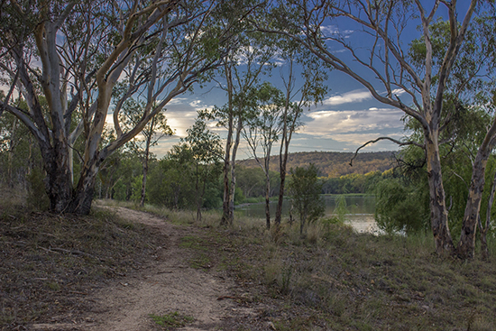 The Woodland Walk - Lake Inverell