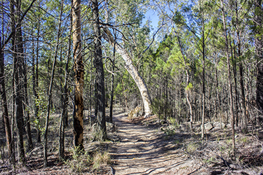 Goonoowigall - Waterfall circuit - Inverell NSW Australia