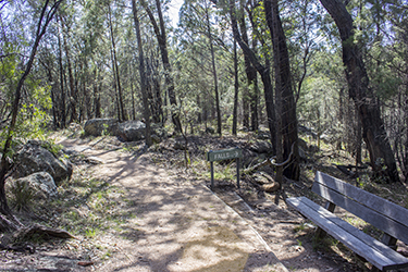 Goonoowigall Waterfall Track - Inverell NSW Australia