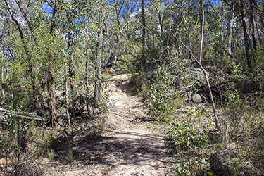 Waterfall Circuit - Link Track - Goonoowigall NSW Australia