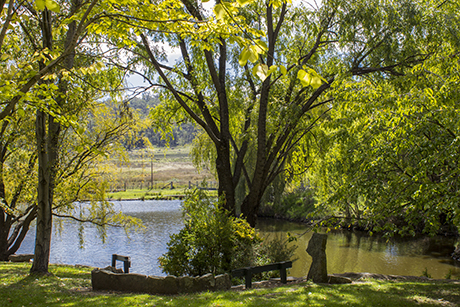 Idyllic landscaped gardens of Green Valley Farm - Tingha NSW