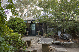 The Kiosk at Green Valley Farm Tingha NSW