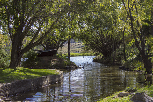 The Beautiful landscaped gardens of Green Valley Farm - Tingha NSW