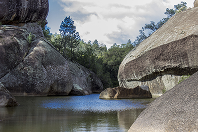 Picturesque bushland setting at Cranky Rock