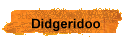 Didgeridoo