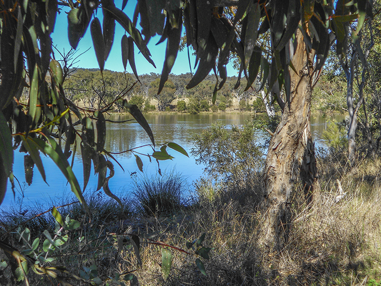 Lake Inverell - The Sapphire City