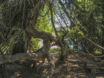 Green Valley Farm - Tingha NSW Australia