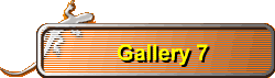 Gallery 7