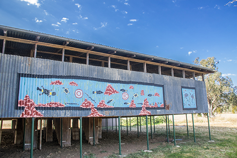 The Woolshed - by Colin Isaacs and Scott Griffiths - Warialda NSW