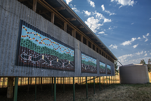 The Woolshed - by Colin Isaacs and Scott Griffiths - Warialda NSW