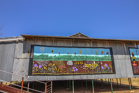 The Woolshed - by Colin Isaacs and Scott Griffiths - Warialda NSW