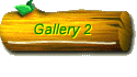 Gallery 2