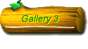 Gallery 3