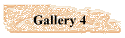 Gallery 4