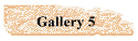 Gallery 5