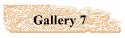 Gallery 7