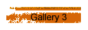 Gallery 3