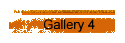 Gallery 4