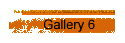 Gallery 6