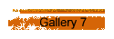 Gallery 7