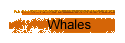 Whales