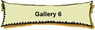 Gallery 6