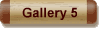 Gallery 5