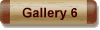 Gallery 6