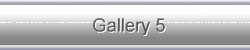 Gallery 5