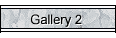 Gallery 2