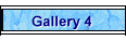 Gallery 4