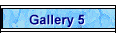 Gallery 5