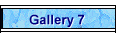 Gallery 7