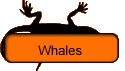 Whales