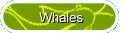 Whales