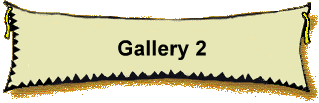 Gallery 2