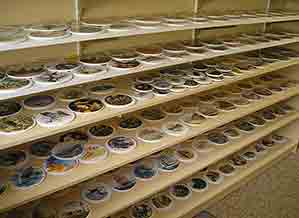 Large range of ceramic tiles
