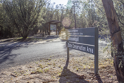 Goonoowigall State Conservation Area - Inverell NSW Australia