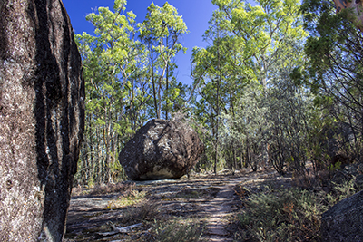 Track to Thunderbolts Rock - Goonoowigall - Inverell