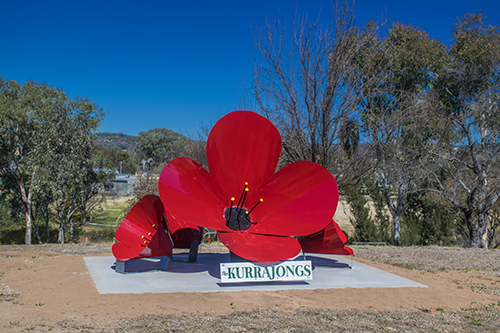 The Kurrajongs - George Cartwright VC Reserve