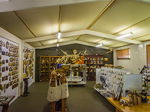 Showroom - New England Woodturning Supplies - Gilgai - Australia