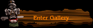 Enter Gallery