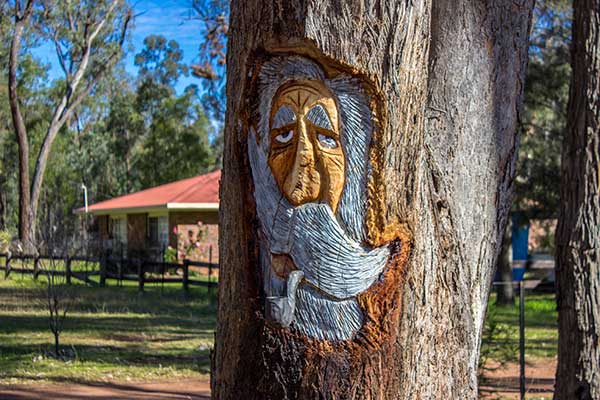 Wood Spirit carving by Rob Day - New England Woodturning Supplies