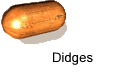 Didges